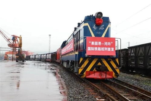 中越友谊新篇章 重庆总领馆设立与胡志明革命足迹的传承